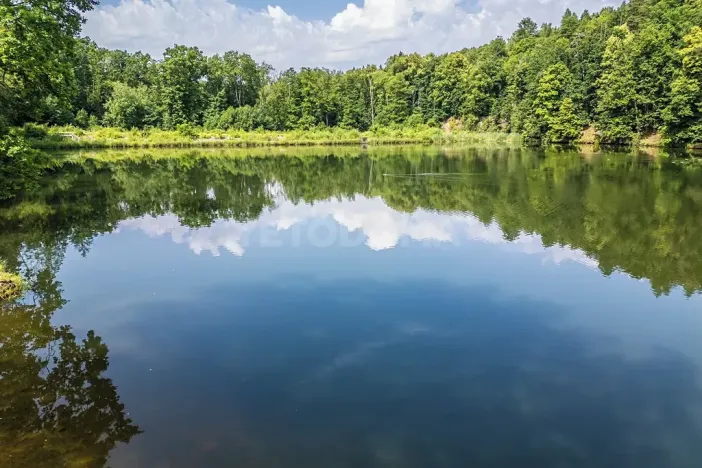 Prodej rodinného domu, Kornatice, 270 m2