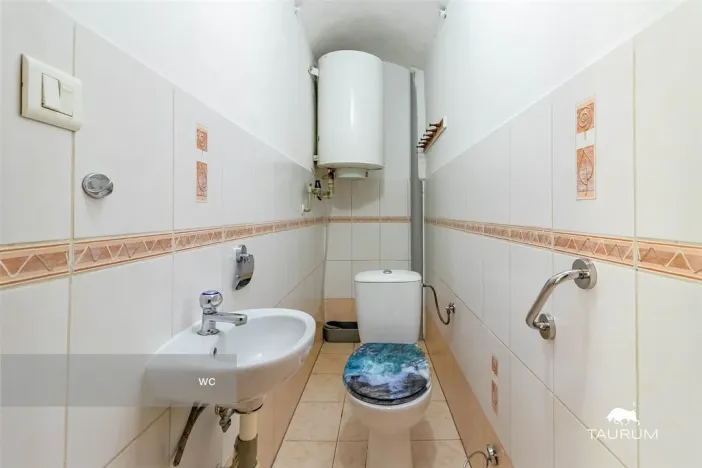 Prodej rodinného domu, Nečtiny - Čestětín, 719 m2