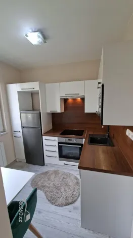 Prodej bytu 2+1, Frýdek-Místek - Frýdek, 45 m2