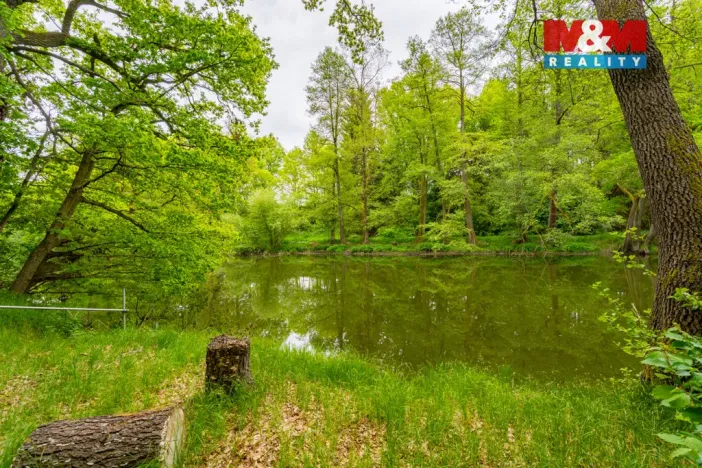 Prodej chaty, Plavsko, 30 m2