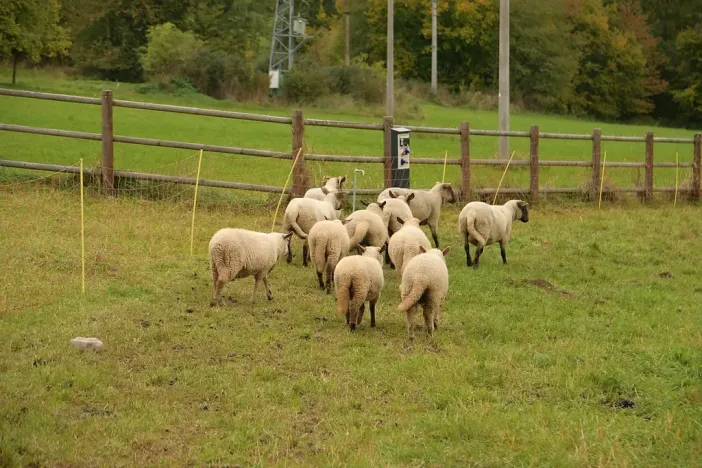 Prodej - jiné, Heřmaničky, 50 m2