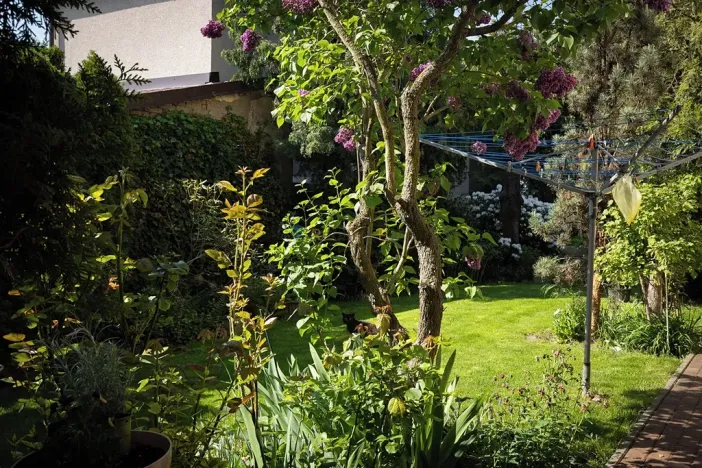 Prodej rodinného domu, Zdice, 294 m2