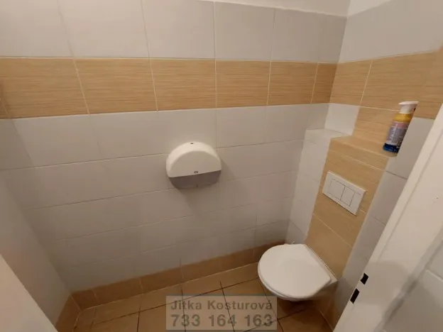 Pronájem bytu 1+1, Krnov - Pod Bezručovým vrchem, Revoluční, 32 m2