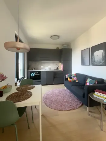 Pronájem bytu 1+kk, Praha - Strašnice, Michelangelova, 35 m2