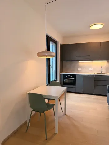 Pronájem bytu 1+kk, Praha - Strašnice, Michelangelova, 35 m2