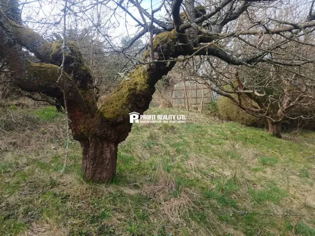 Prodej chaty, Hronov, 20 m2