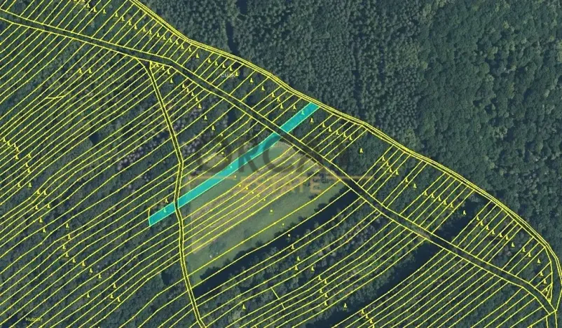 Prodej pole, Mistřice, 6356 m2
