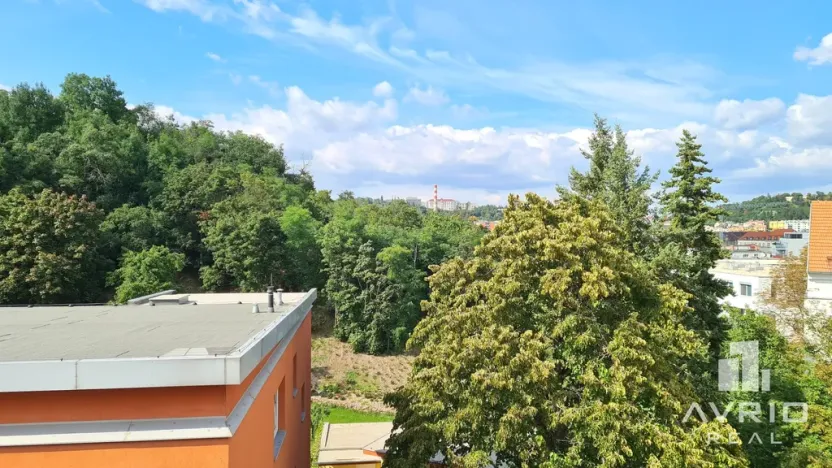 Pronájem bytu 3+1, Brno, Vinohrady, 107 m2