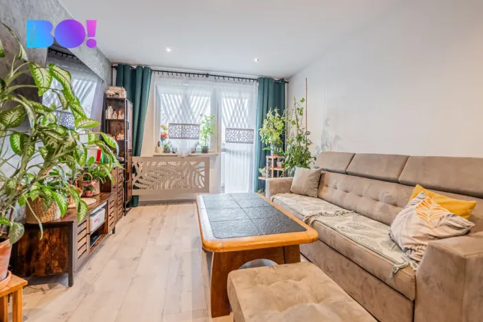 Prodej bytu 2+1, Karviná, Olbrachtova, 60 m2