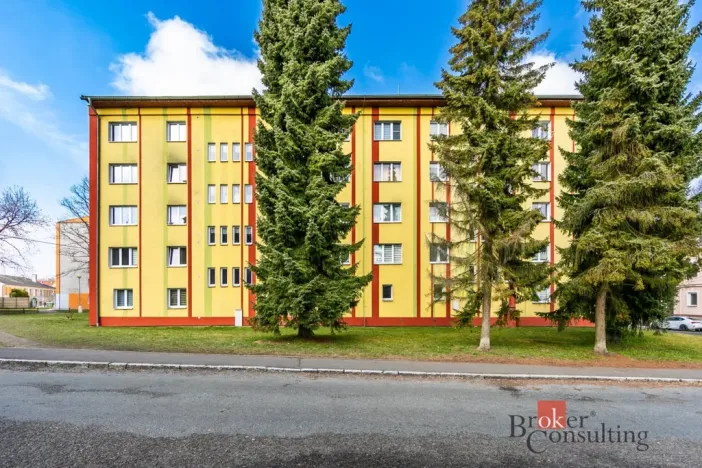 Prodej bytu 2+1, Aš, Žižkova, 52 m2