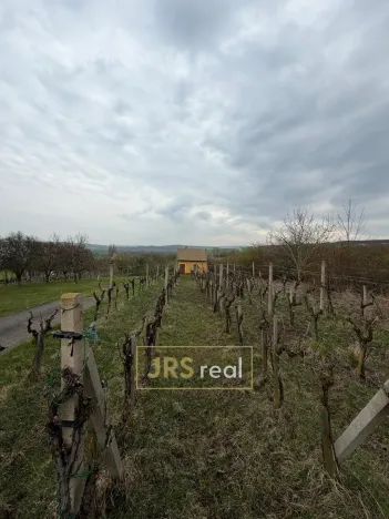 Prodej pozemku, Hroznová Lhota, 2997 m2