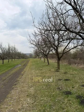 Prodej pozemku, Hroznová Lhota, 2997 m2