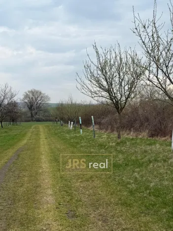 Prodej pozemku, Hroznová Lhota, 2997 m2