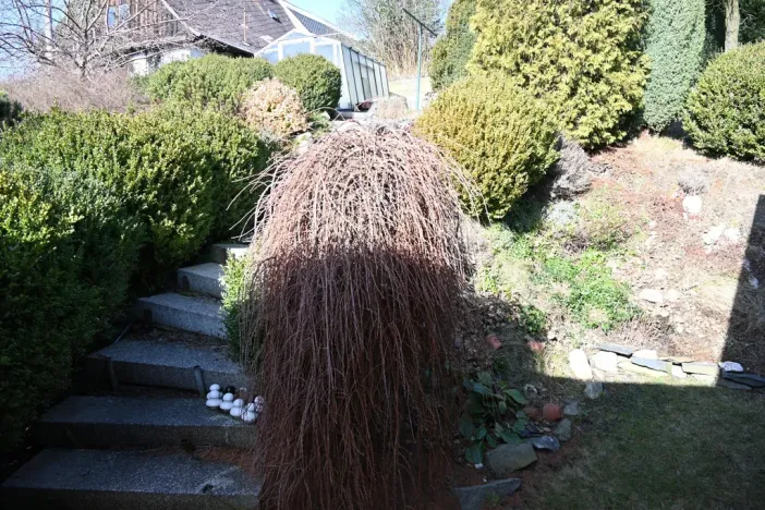 Prodej rodinného domu, Oborná, 302 m2