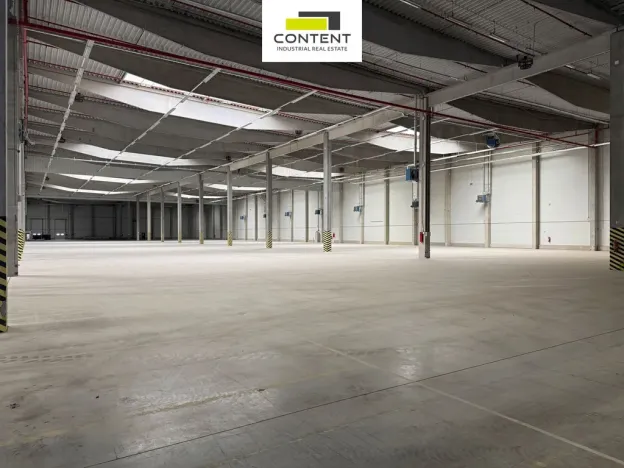 Pronájem výrobních prostor, Bor - Nová Hospoda, 32693 m2