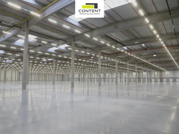 Pronájem skladu, Hladké Životice, Kujavská, 29000 m2