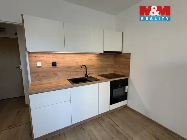 Prodej bytu 1+kk, Karviná - Ráj, Prameny, 20 m2