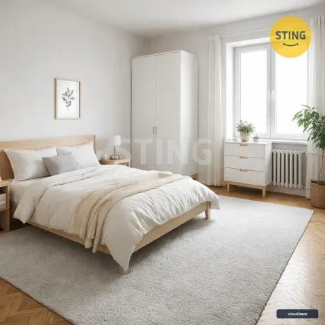 Pronájem bytu 2+1, Přerov, nábř. Protifašistických bojovníků, 48 m2