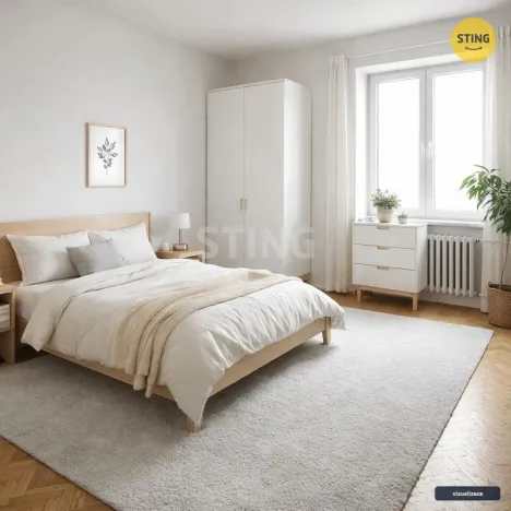 Pronájem bytu 2+1, Přerov, nábř. Protifašistických bojovníků, 48 m2