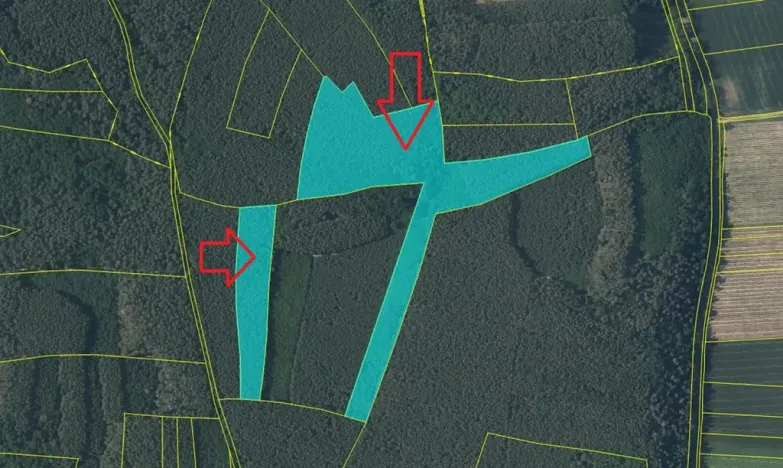 Prodej lesa, Libotenice, 63021 m2