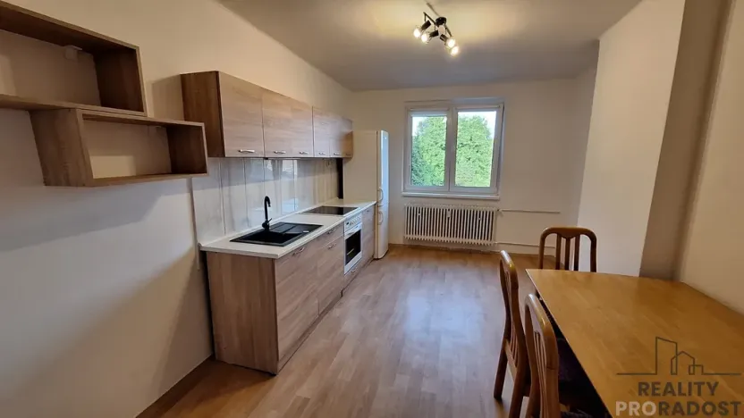 Pronájem bytu 2+1, Ústí nad Labem, Elišky Krásnohorské, 80 m2