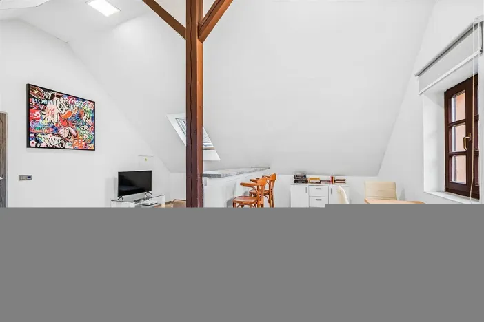 Prodej činžovního domu, Domažlice - Město, Spálená, 312 m2