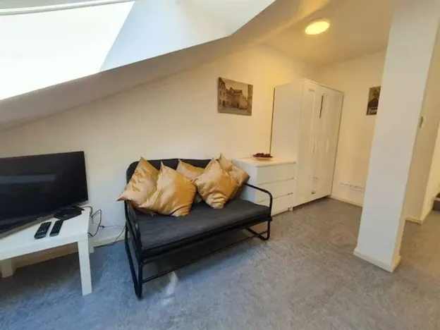 Pronájem bytu 1+kk, Plzeň - Vnitřní Město, Veleslavínova, 36 m2