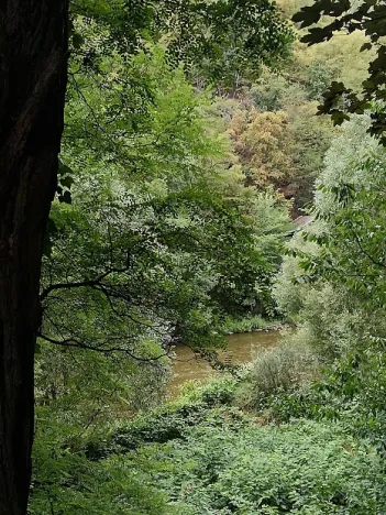 Prodej chaty, Krňany - Třebsín, 24 m2