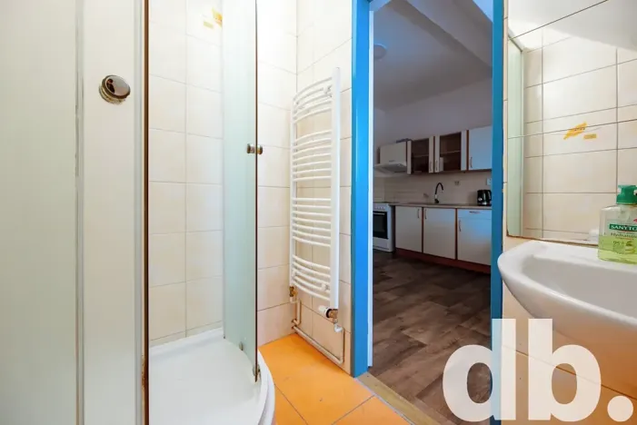 Pronájem bytu 1+1, Karlovy Vary, Jabloňová, 45 m2