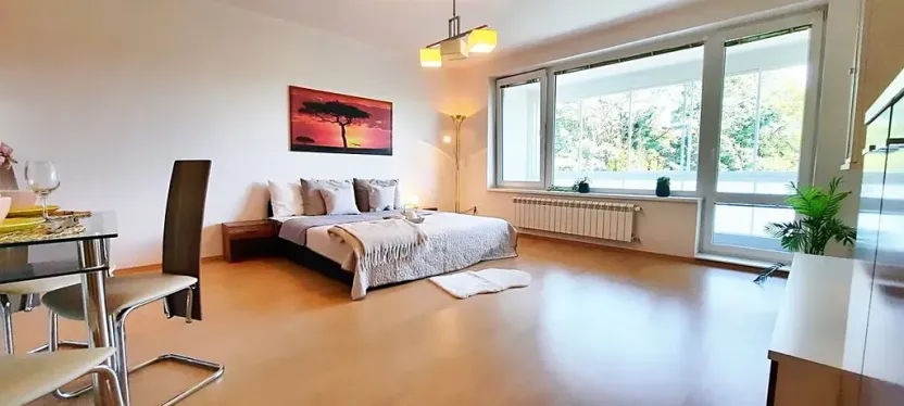 Pronájem bytu 1+kk, Brno, Šemberova, 51 m2