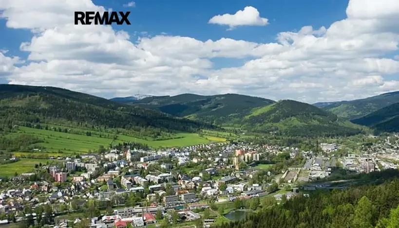 Prodej bytu 1+kk, Vrbno pod Pradědem, Žižkova, 42 m2