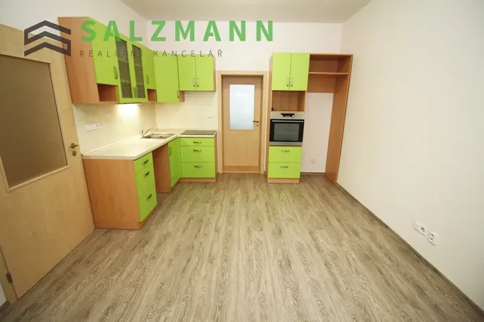 Pronájem bytu 2+kk, Plzeň, Úslavská, 38 m2