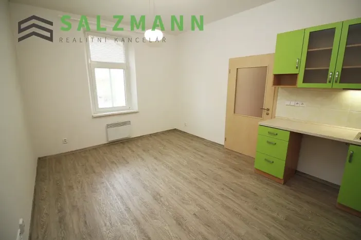 Pronájem bytu 2+kk, Plzeň, Úslavská, 38 m2