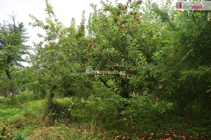 Prodej zahrady, Dobrovice, 636 m2