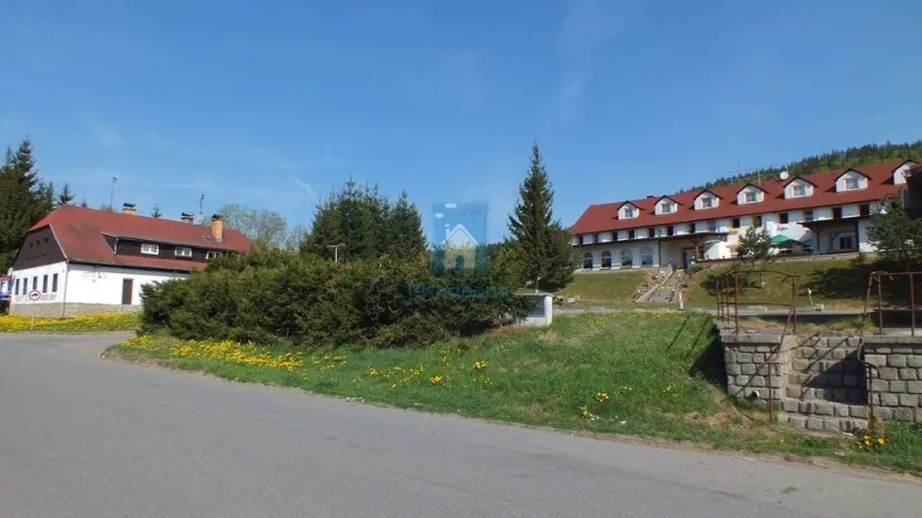 Prodej komerční nemovitosti, Strážný - Řasnice, 39598 m2