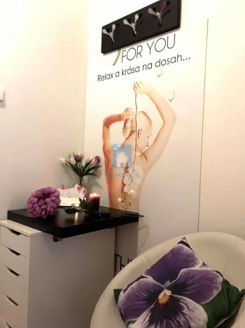 Pronájem komerční nemovitosti, Praha, Ostrovského, 15 m2