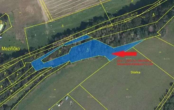 Prodej lesa, Meziříčko, 4066 m2