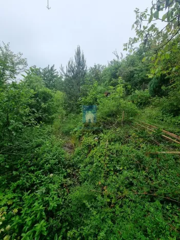 Prodej zahrady, Zdiby, Skopec, 527 m2