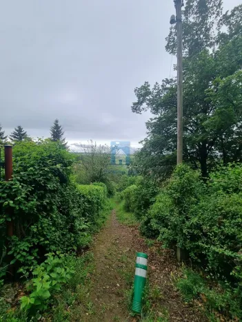 Prodej zahrady, Zdiby, Skopec, 527 m2