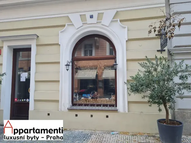 Pronájem restaurace, Praha - Staré Město, Veleslavínova, 150 m2