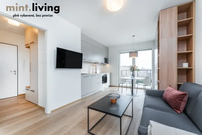 Pronájem bytu 1+kk, Plzeň - Skvrňany, Františka Kováříka, 39 m2