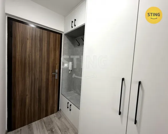 Pronájem bytu 1+kk, Ostrava - Zábřeh, 30 m2