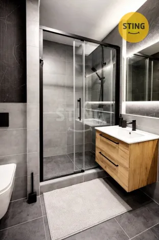 Pronájem bytu 1+kk, Ostrava - Zábřeh, 30 m2