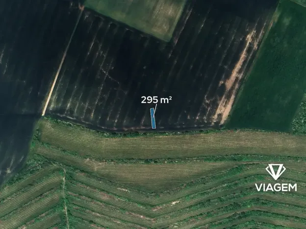 Prodej pole, Morkůvky, 295 m2