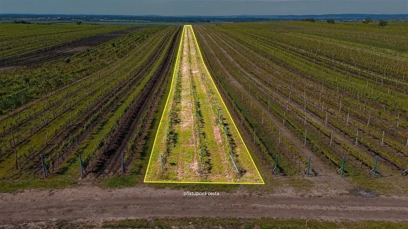 Prodej pole, Velké Bílovice, 3706 m2