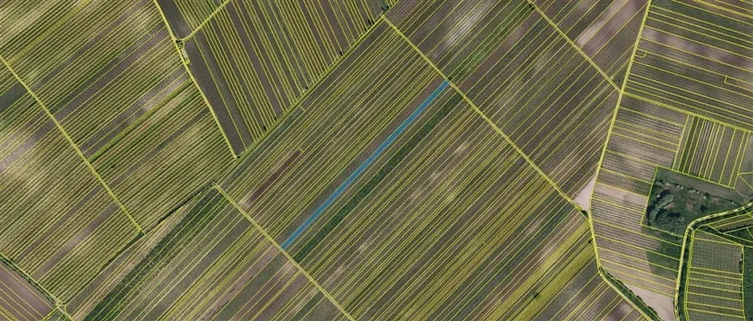 Prodej pole, Velké Bílovice, 3706 m2