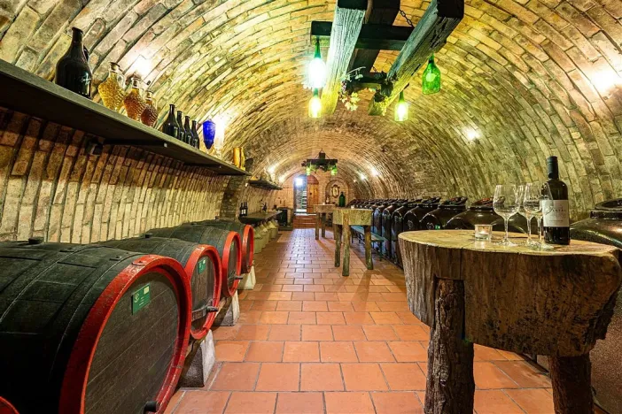 Prodej komerční, Velké Bílovice, 508 m2