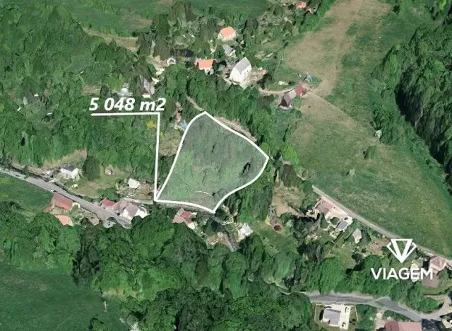 Prodej zahrady, Homole u Panny, 5048 m2