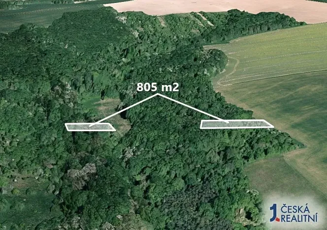 Prodej lesa, Hradčovice, 805 m2