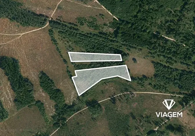 Prodej lesa, Dačice, 13651 m2